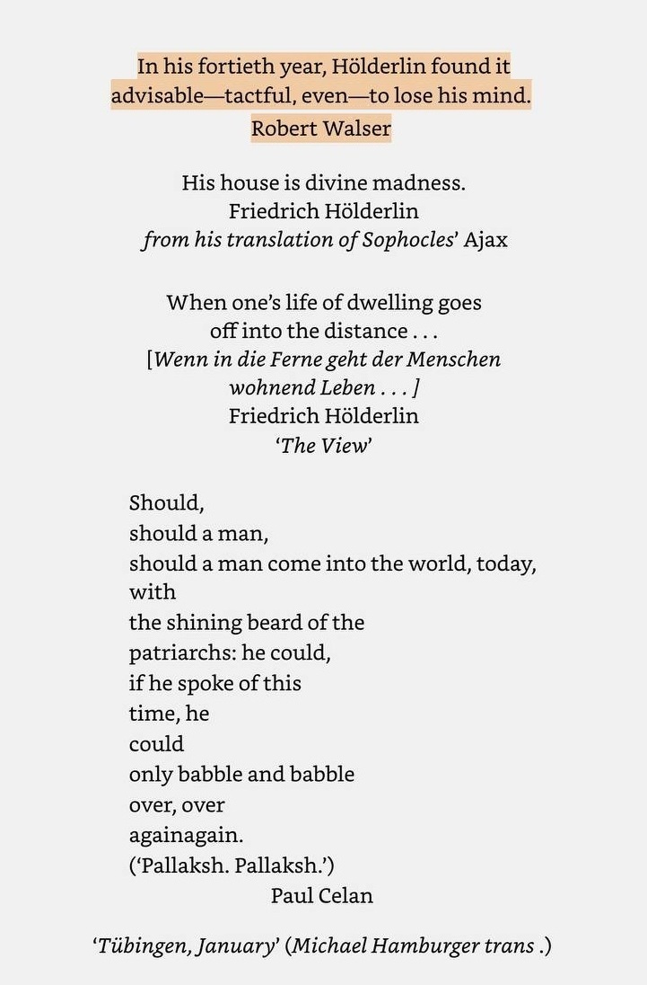Epigraphs to Agamben’s Hölderlin’s Madness:

(Came across Walser here and had to chase the source 🐰)