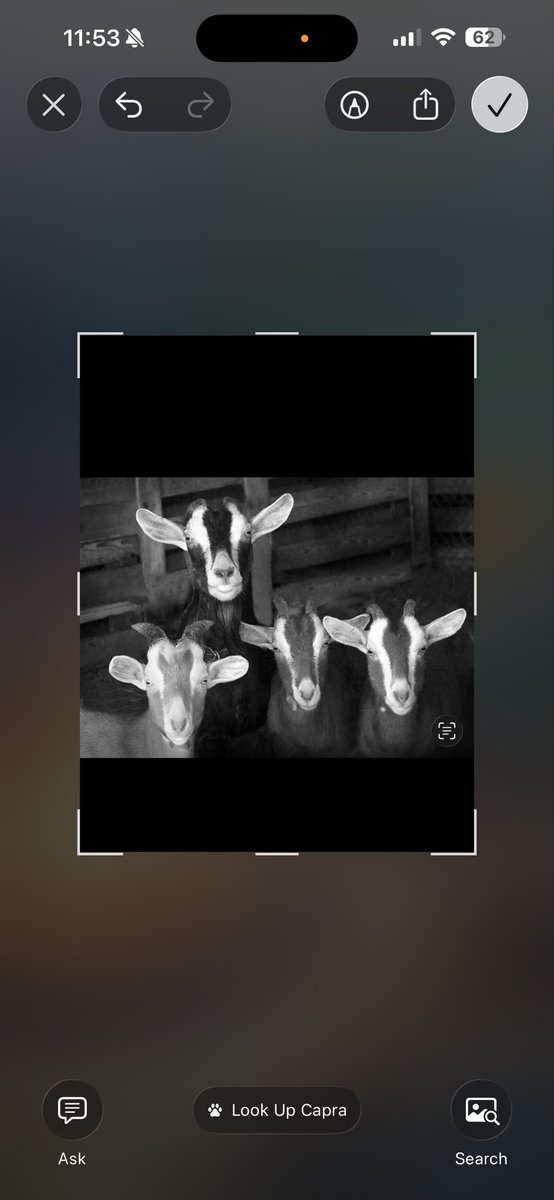 How do I crop this make it fit as my header