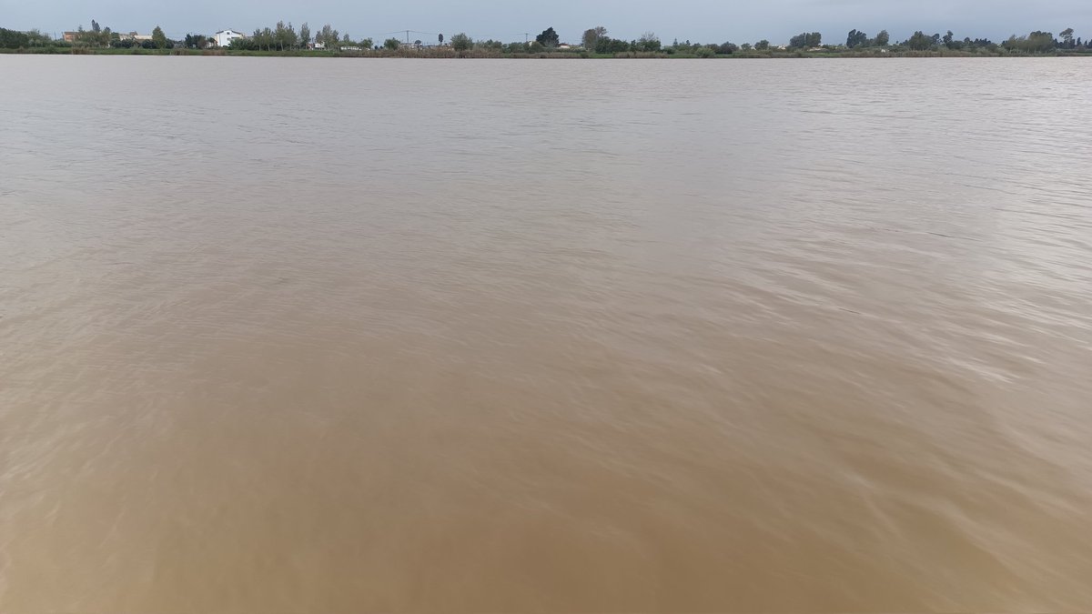 Joel (@joelduraports) on Twitter photo Lo color del riu ebre <a href="/SergiLoras/">Sergi Loras Gironès</a>
<a href="/eltempsTV3/">Sergi Boixader</a> <a href="/TomasMolinaB/">Tomàs Molina</a> <a href="/Canal21Ebre/">Canal 21 Ebre</a> <a href="/canalte/">Canal TE - Canal Terres de l'Ebre</a> <a href="/alcantara_alb/">Alberto Alcántara</a> <a href="/enricagud/">enric agud 🌕</a> <a href="/Vakapiupiu/">Niel Delmar</a> <a href="/aguaitacat/">aguaita.cat</a> <a href="/eloicordomi/">Eloi Cordomí Montoya</a> <a href="/gemmapuigf/">Gemma Puig Feliu</a> <a href="/SergiLoras/">Sergi Loras Gironès</a> <a href="/lasextameteo/">La Sexta Meteo</a> <a href="/btveltemps/">btv el temps</a> <a href="/aquilatierratve/">Aquí la Tierra</a> @cat_meteo <a href="/meteocat/">Meteocat</a> <a href="/Monica_Usart/">Mònica Usart</a> <a href="/SoniaPapell/">Sònia Papell</a> <a href="/XFreixes/">Xavi Freixes</a> Lo color del riu ebre <a href="/SergiLoras/">Sergi Loras Gironès</a>
<a href="/eltempsTV3/">Sergi Boixader</a> <a href="/TomasMolinaB/">Tomàs Molina</a> <a href="/Canal21Ebre/">Canal 21 Ebre</a> <a href="/canalte/">Canal TE - Canal Terres de l'Ebre</a> <a href="/alcantara_alb/">Alberto Alcántara</a> <a href="/enricagud/">enric agud 🌕</a> <a href="/Vakapiupiu/">Niel Delmar</a> <a href="/aguaitacat/">aguaita.cat</a> <a href="/eloicordomi/">Eloi Cordomí Montoya</a> <a href="/gemmapuigf/">Gemma Puig Feliu</a> <a href="/SergiLoras/">Sergi Loras Gironès</a> <a href="/lasextameteo/">La Sexta Meteo</a> <a href="/btveltemps/">btv el temps</a> <a href="/aquilatierratve/">Aquí la Tierra</a> @cat_meteo <a href="/meteocat/">Meteocat</a> <a href="/Monica_Usart/">Mònica Usart</a> <a href="/SoniaPapell/">Sònia Papell</a> <a href="/XFreixes/">Xavi Freixes</a>
