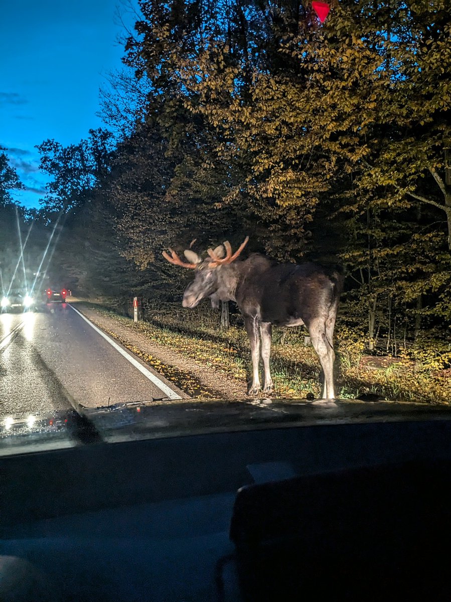 Stanisław Łubieński 🇺🇦✌ tweet media