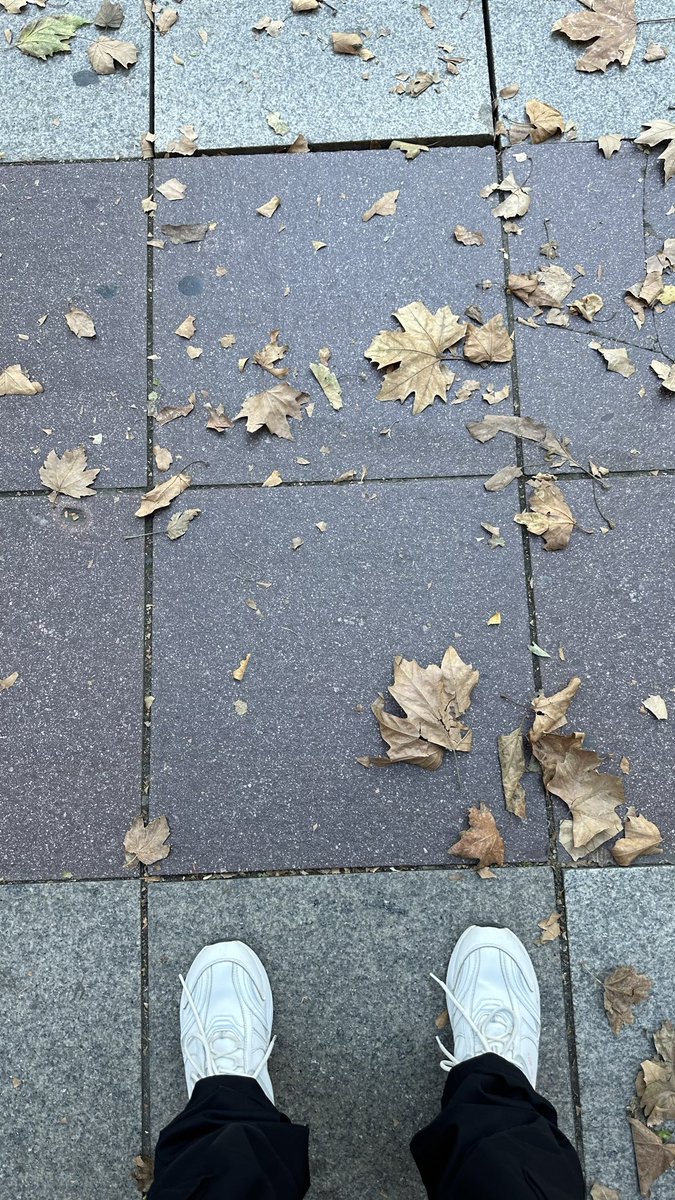 Abdulmohsen tweet media