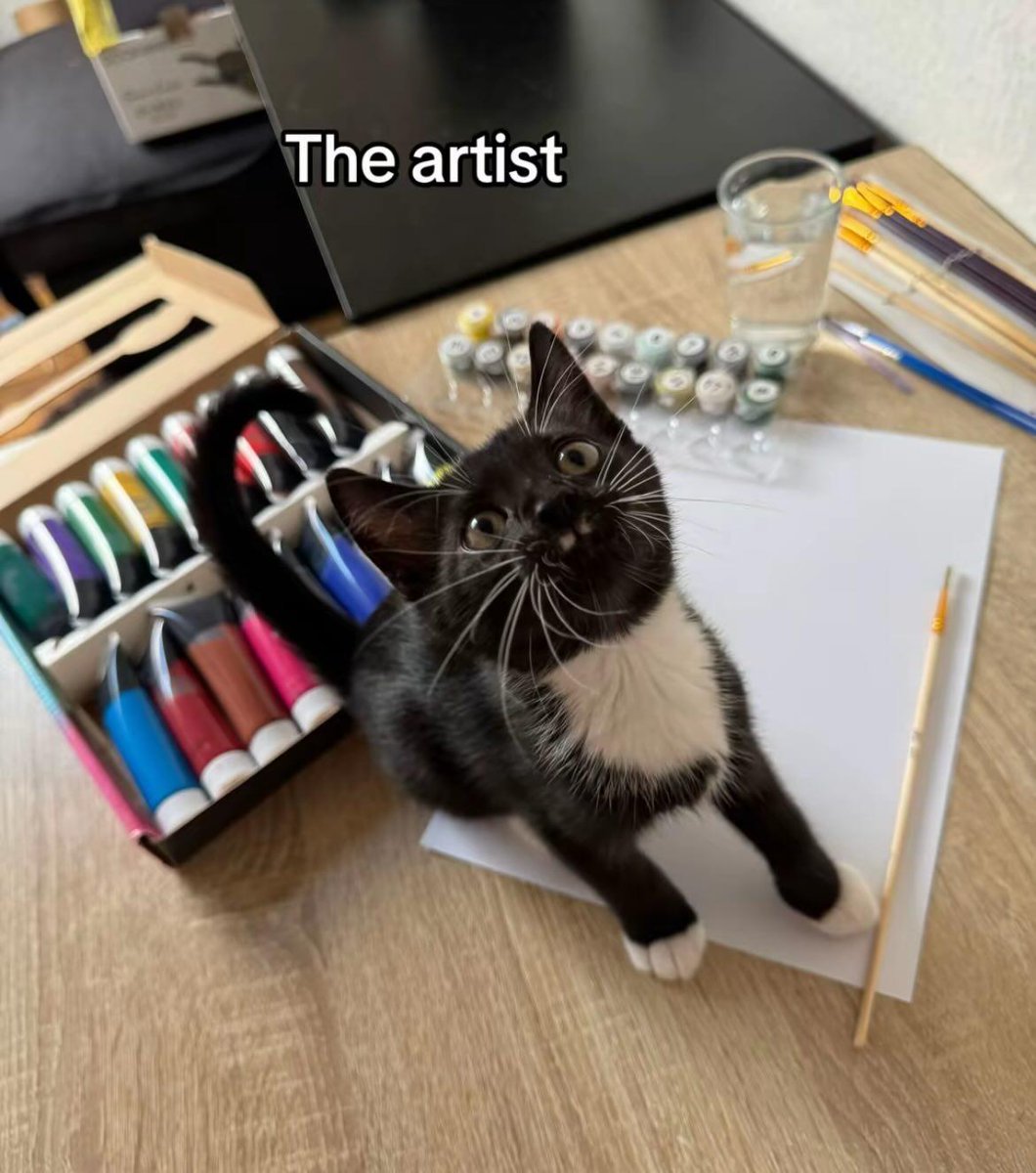 Catsillyness's tweet image. The art
&amp;amp;
The artist