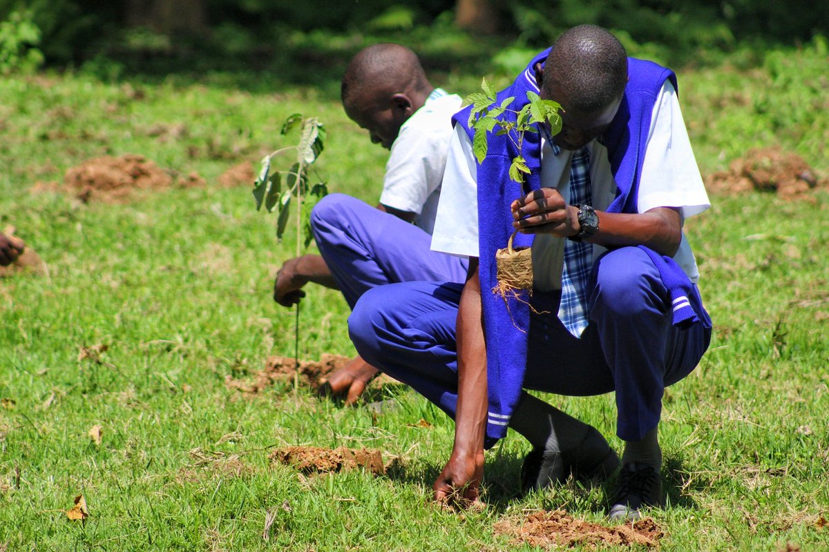 NextForEarth's tweet photo. Empowering high school students to lead climate action through tree planting, environment conservation and sustainability. 🌍
#YouthForClimate #Sustainability #NextGenForEarth https://t.co/WsICS6V53e