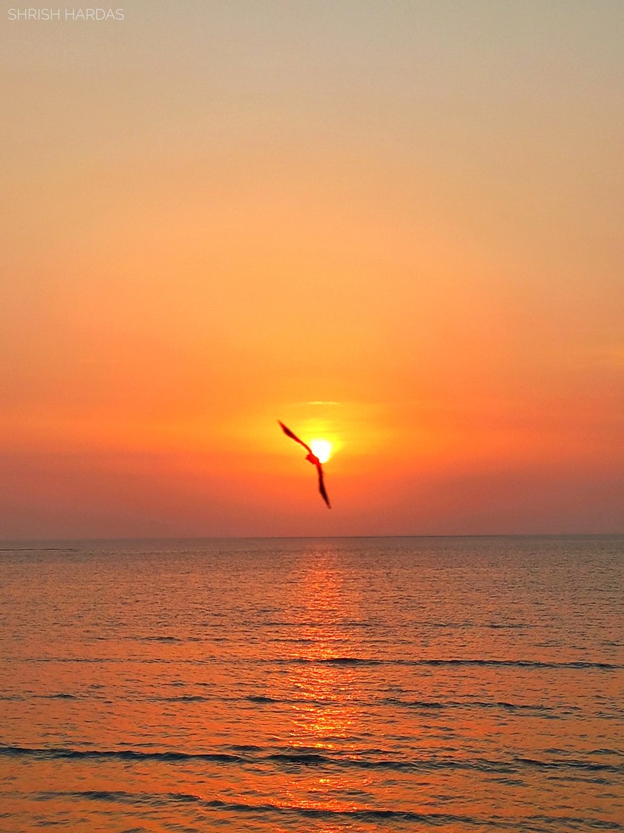 Bird flies by a stunning sunset over the Arabian Sea as captured by me 🌅

#photography #Mumbai #marinedrive #Maharashtra #Indian #India #travel #nature #NaturePhotography