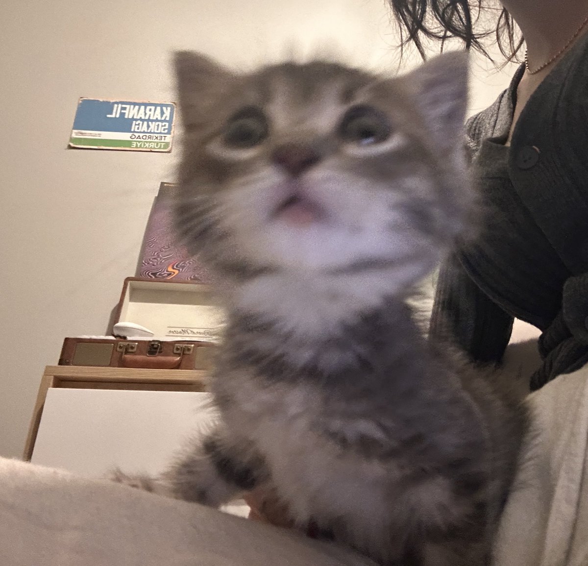 bence bana alıştı ilk selfiemiz