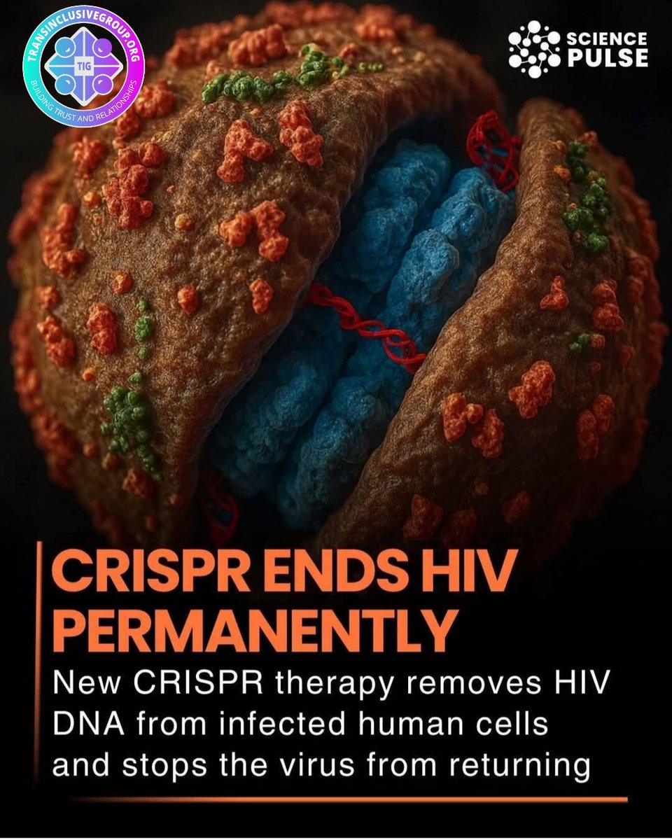Scientists have developed a CRISPR therapy that removes HIV DNA from infected cells and stops the virus from returning. Early lab results are promising, offering hope for a potential one-time cure, though human trials are still needed. #HIVResearch #CRISPR