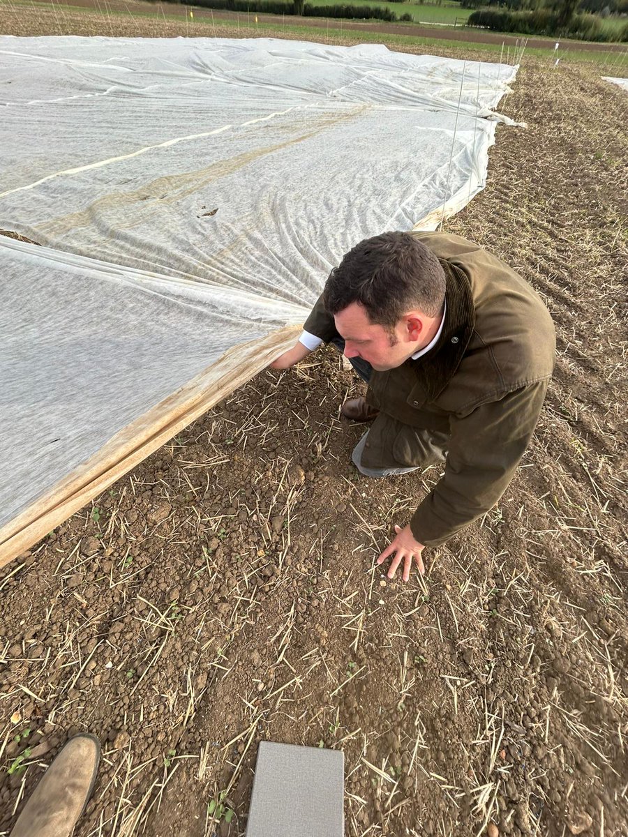 NichinoUK's tweet image. 👏 Welcoming Georg Krueger to the team - joining as Business Development Manager for Germany.
He recently spent time with us - here he is taking a first look at #BackrowMax residual herbicide trial near Bedford where we’re looking at various mixes in cereals &amp;amp; OSR with/without