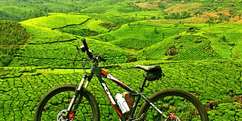 IVOMO4's tweet photo. New week calls for new adventures, if you're travelling to Nyungwe and kivubelt destination this week do not miss to reach out and explore the land of wonders with us. #KinyagaHeritage #VisitRwanda
Link https://t.co/Ex3zmheBGc to learn more! #openforbooking https://t.co/Jj2b2kgnuX