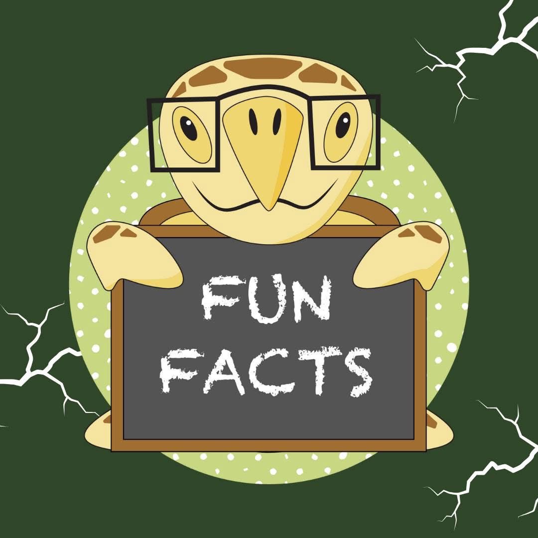 SC Emergency Management Division tweet media