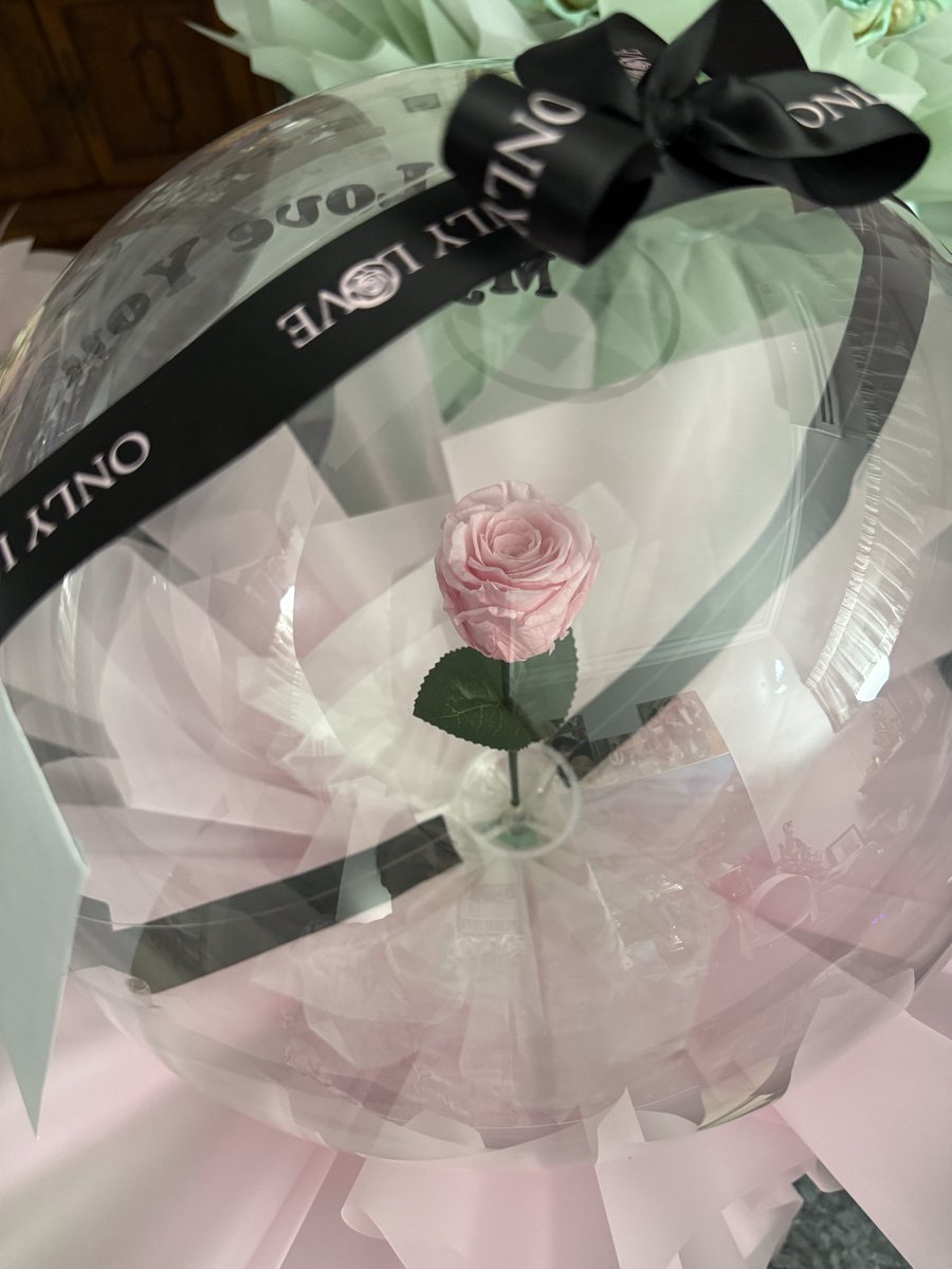 ivylimcc's tweet image. Everlasting rose
Receiving this reminds me very much of Beauty and the Beast

#suckerforflowers
#nowandforever