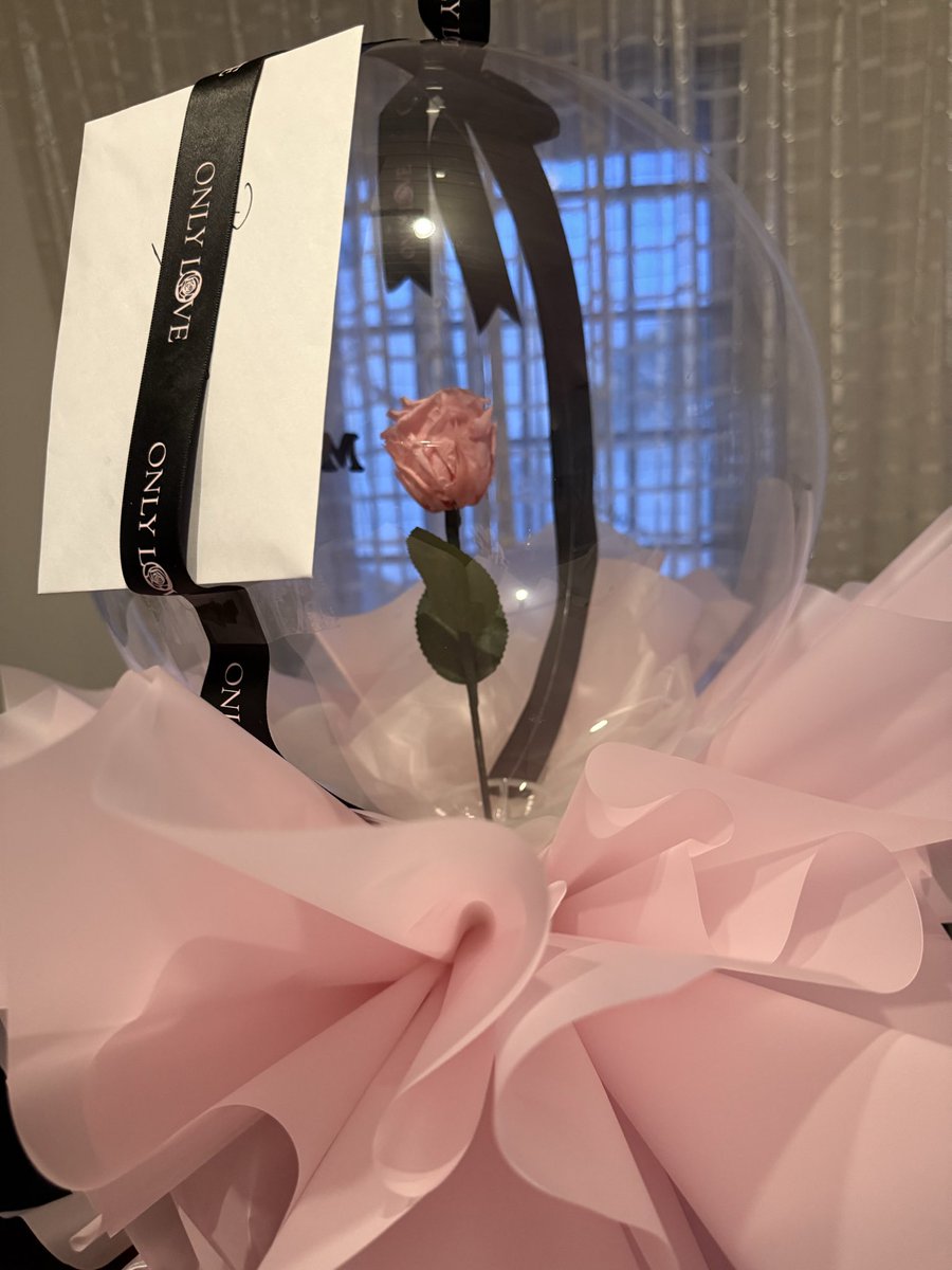 ivylimcc's tweet image. Everlasting rose
Receiving this reminds me very much of Beauty and the Beast

#suckerforflowers
#nowandforever