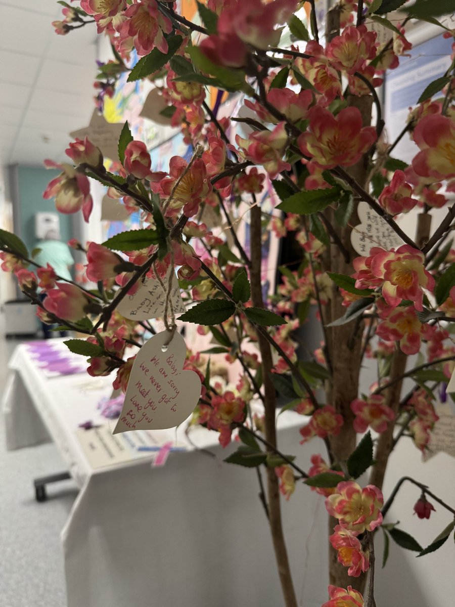 This week is Baby Loss Awareness Week. Here on EGU <a href="/WythenshaweHosp/">Wythenshawe Hospital</a> <a href="/MFT_SaintMarys/">Saint Mary's at MFT</a> we’re helping and supporting our patients to remember their much loved &amp; missed babies with our special memory tree, memory boxes, teddies, badges and lighting candles

<a href="/SandsUK/">Sands - baby loss charity 💜🧡</a> <a href="/BLA_Campaign/">Baby Loss Awareness Week</a> 💙🩷