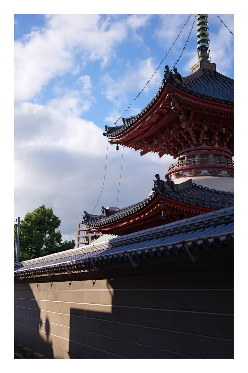 shukei122's tweet photo. 今日のスナップ。

📸LUMIX S9 + SIGMA 50mm F2 DG DN https://t.co/RAhQ3Ic8M4