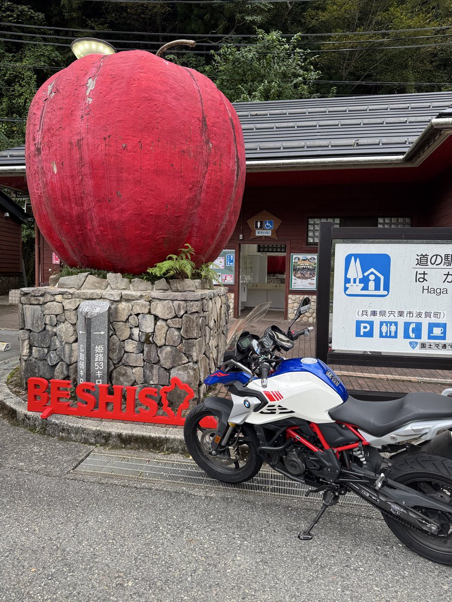 Striker0524's tweet photo. リンゴソフトにりんご丸かじり
#BESIO
もひとつだけ回収〜
原観光農園のリンゴソフトはヤバ美味でした😋 https://t.co/hCeYMZuUGS