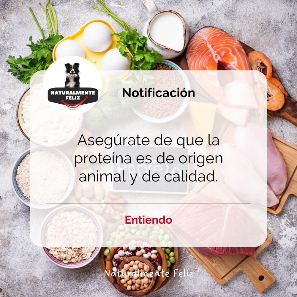 Natural_Feliz's tweet photo. ¡Nutrimos su alegría con proteína de primera calidad para que tu compañero de 4 patas disfrute cada bocado! 🐾🌟 #ProteínaDeCalidad #NutricionCanina #NaturalmenteFeliz https://t.co/EOfQuBW0IT
