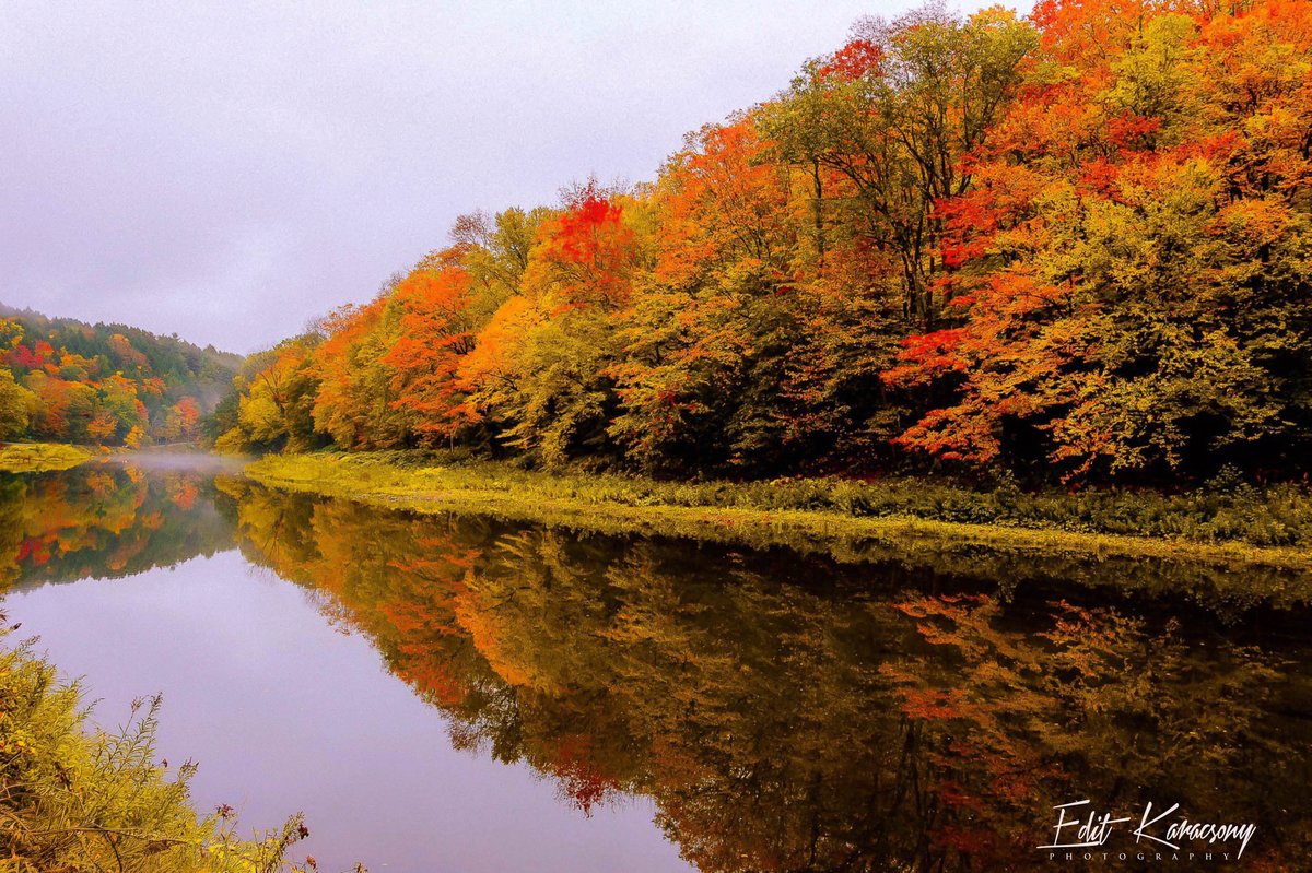 Good morning Vermont 🍂