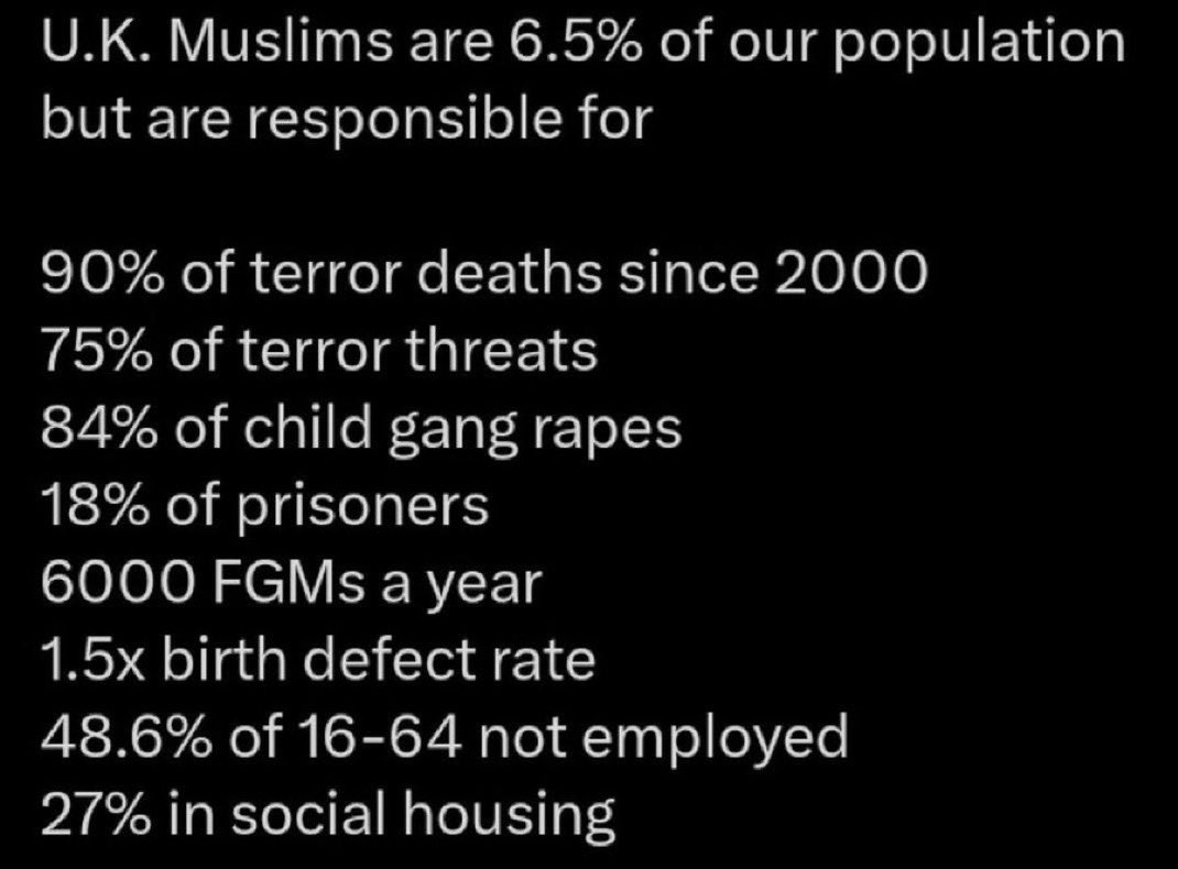 <a href="/TRobinsonNewEra/">Tommy Robinson 🇬🇧</a> Save UK👇