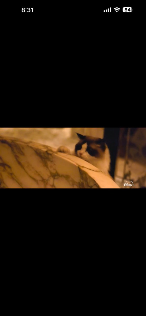 Danielle71690's tweet photo. @taylornation13 @taylorswift13  ahhhhhhh not only do i get to be excited to see the tourtured poets set again on the eras tour but we get a benjamin cameo on the docuseries soo excited 😍😍😍😍😍😍 https://t.co/IFbhA8Z1Pu