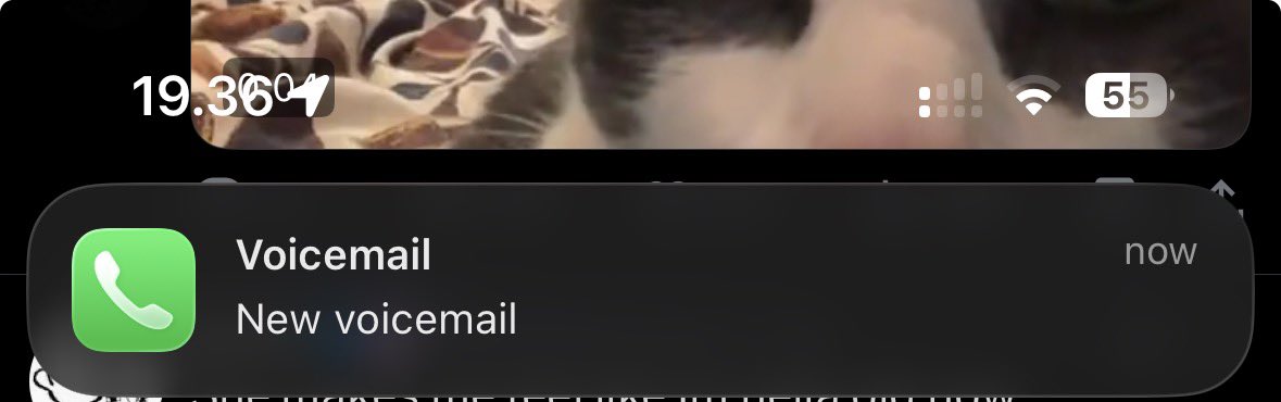 bree⊙⊝⊜ tweet media