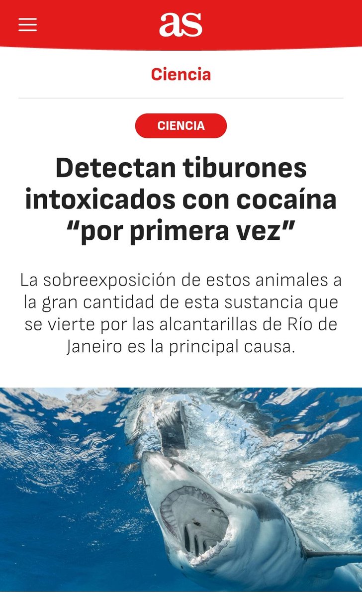 FabrizioLaparto's tweet photo. 🚨 Me parece que la lesión de Ferrán Torres es más grave de lo que nos pensábamos 💔😞 https://t.co/dZZ4JDNB2S
