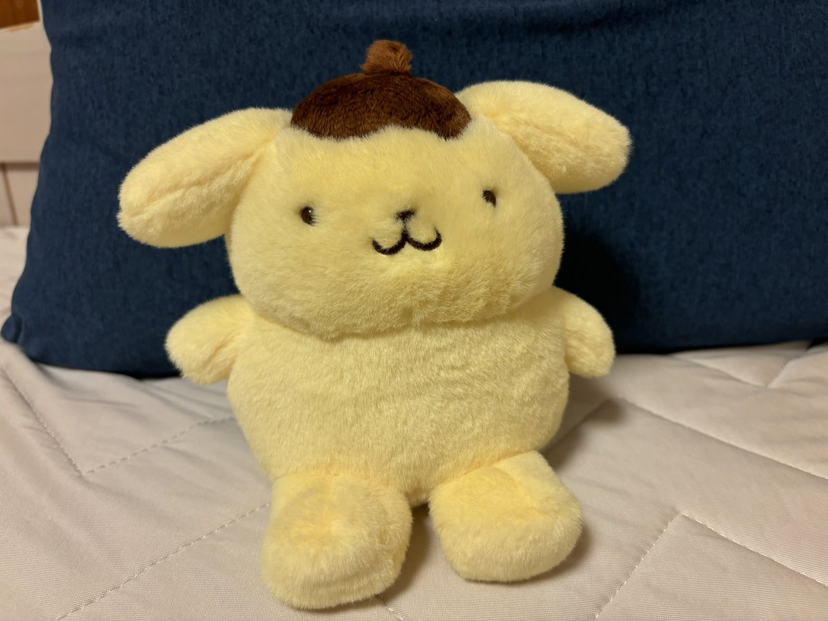 c_p1c's tweet photo. ポムポムプリンぬいを手に入れて、嬉しくて、、、 https://t.co/aFicGvpRgv