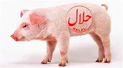 aryakrantee's tweet photo. @TimesAlgebraIND Ever tried telling a Muslim to eat around the pork dish? The airline offices would have been burned by now. 

Vedas say It is against Dharma to kill an innocent animal for any purpose as it is a soul like us and deserves compassion. https://t.co/dCnxb6lst1