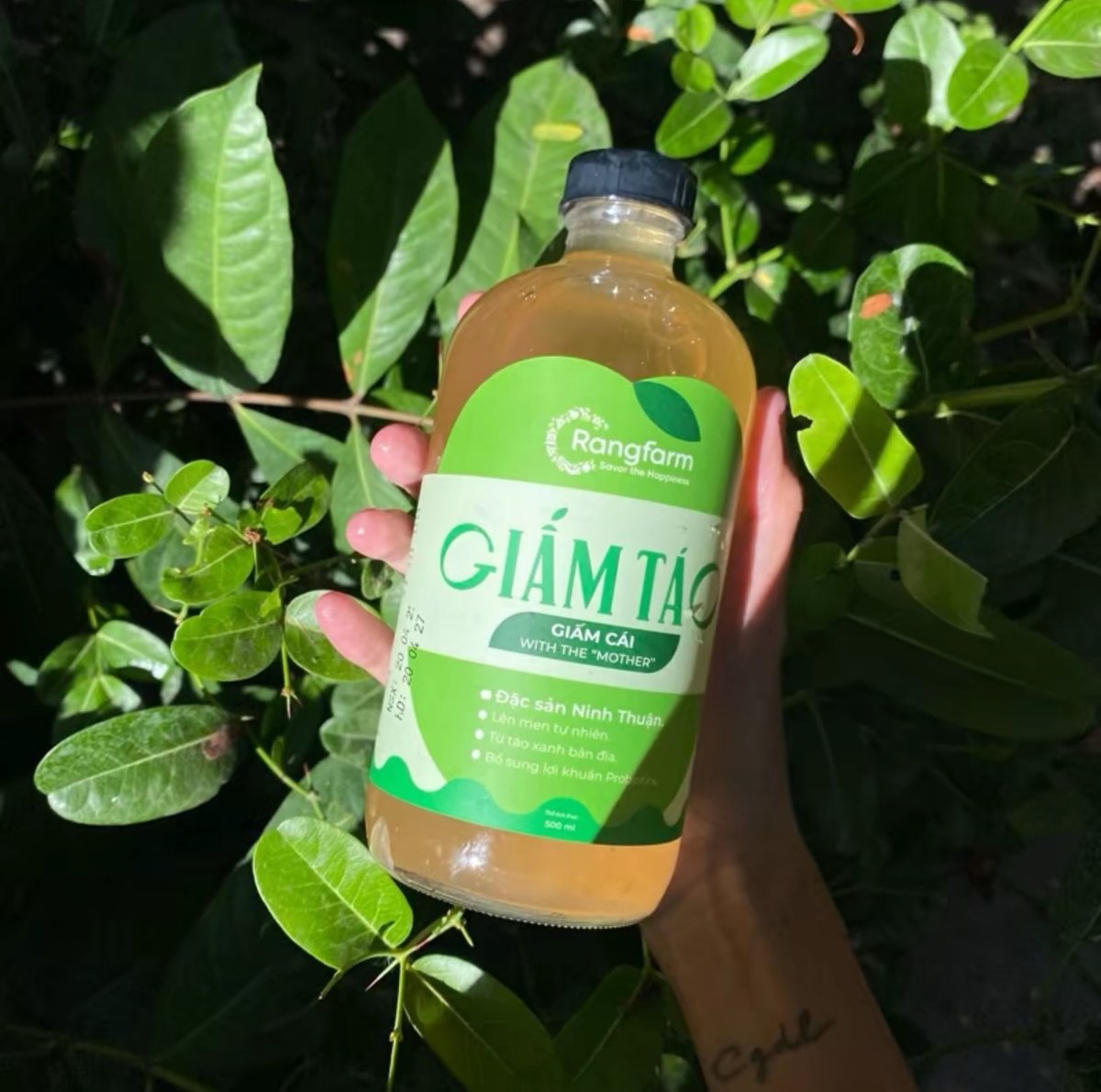 Van Le | Vanessa tweet media