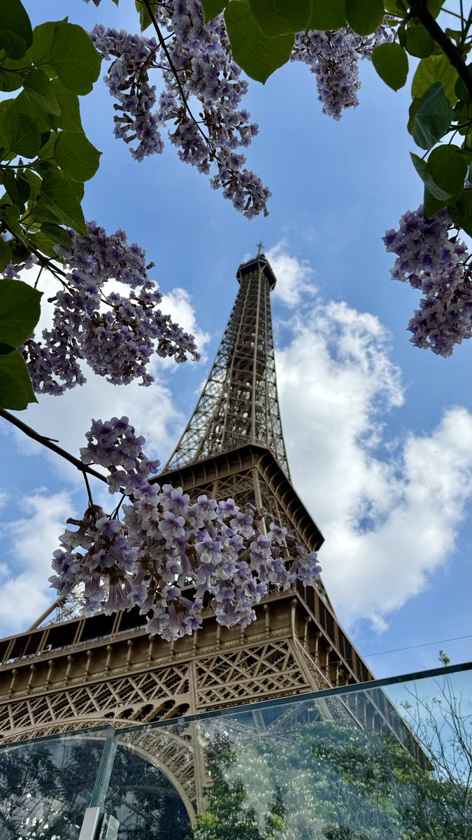 silvitawells's tweet photo. Bonjour, Paris ! 🌞🇫🇷 https://t.co/fdu6h2juW5