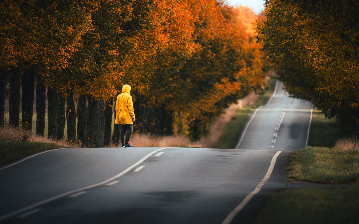 Darte Fex tweet media