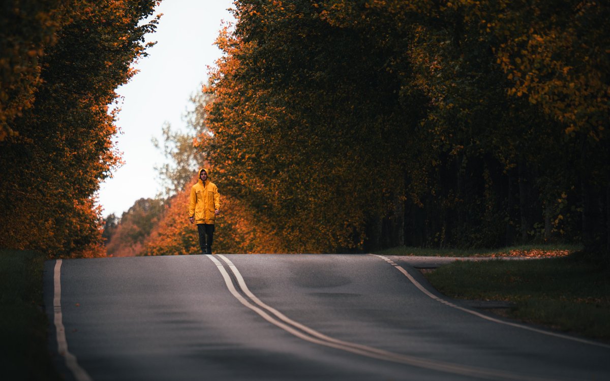 Darte Fex tweet media