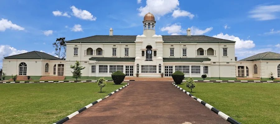 Tribe 56 tweet media