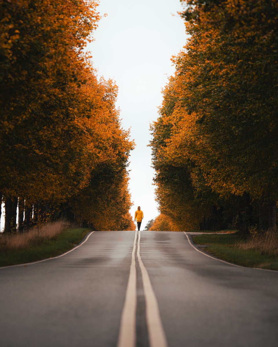 Darte Fex tweet media