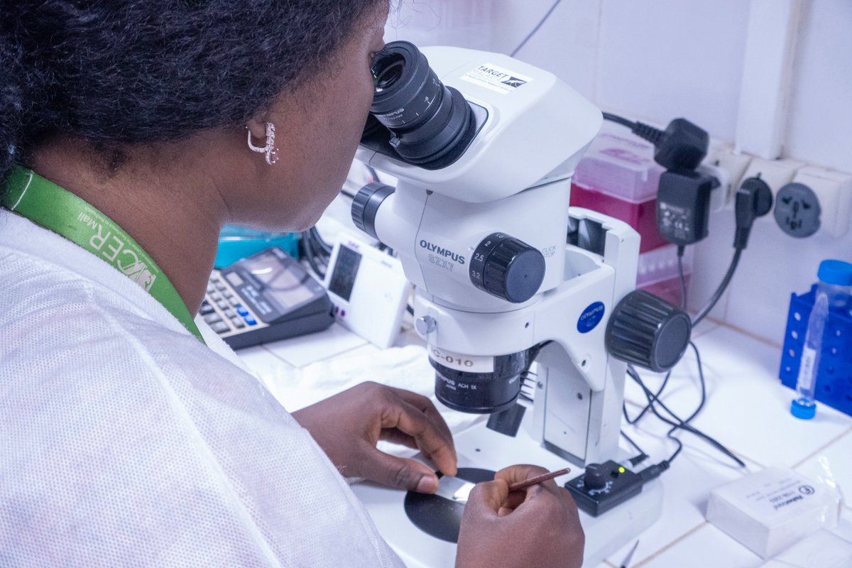 The fight against #malaria is at a crossroads.
 
Closing the door on research means closing the door to potential tools that could help reverse stalled progress and save lives: bit.ly/4lwyckc
 
#IUCNCongress <a href="/IUCN/">IUCN</a>