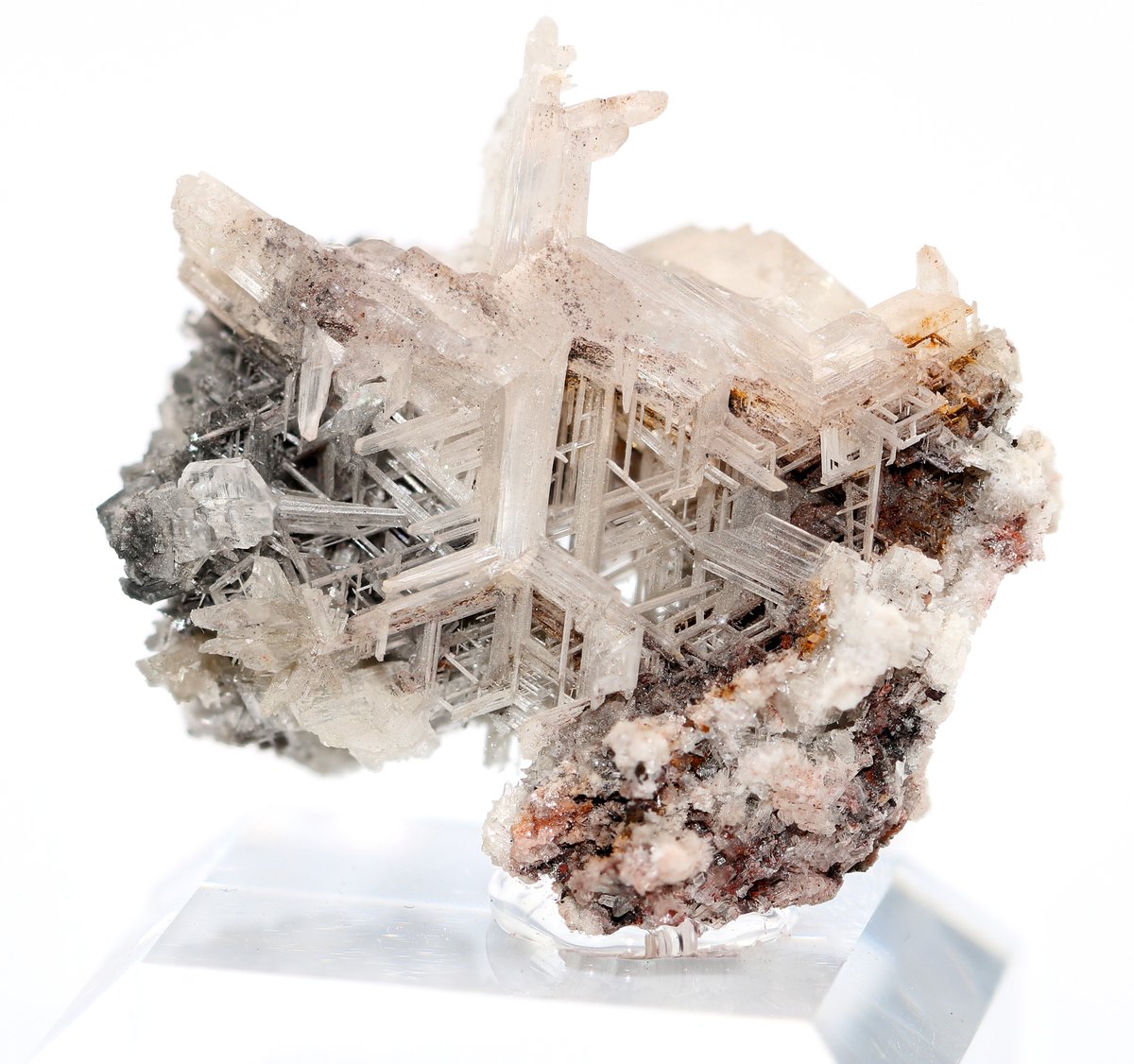 このバランスは何度見ても最高ですね🙏