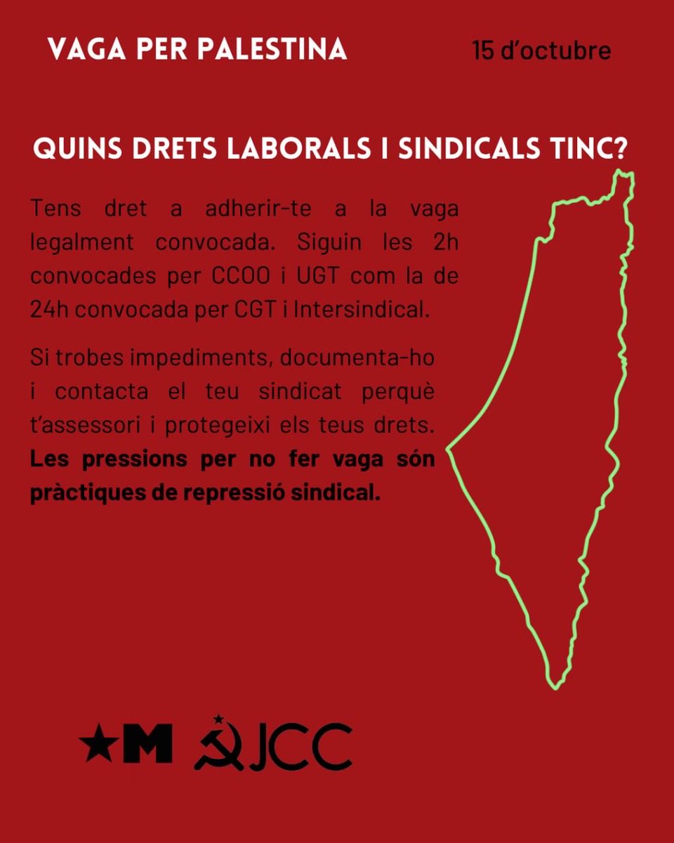 ‼️ Malgrat l'alto al foc, l'ocupació continua i per això aquest dimecres continuem mobilitzant-nos i fent vaga per Palestina.

(+)