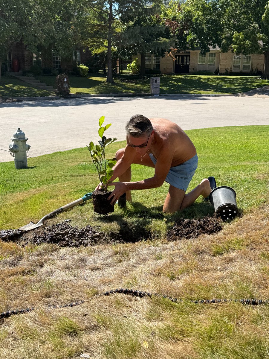 michaeldcrain's tweet image. True confession: For years, I’ve talked about “planting trees”—laying the groundwork for a future we may never see. But yesterday, I actually planted one for the first time! Thanks to @ArborDay, I received an Alexandria Magnolia to honor Joanna and our 25th anniversary.

Why this…
