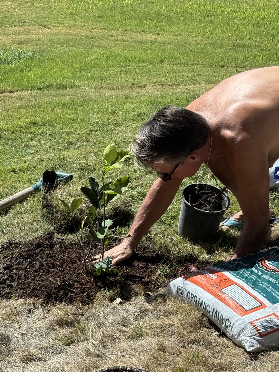 michaeldcrain's tweet image. True confession: For years, I’ve talked about “planting trees”—laying the groundwork for a future we may never see. But yesterday, I actually planted one for the first time! Thanks to @ArborDay, I received an Alexandria Magnolia to honor Joanna and our 25th anniversary.

Why this…