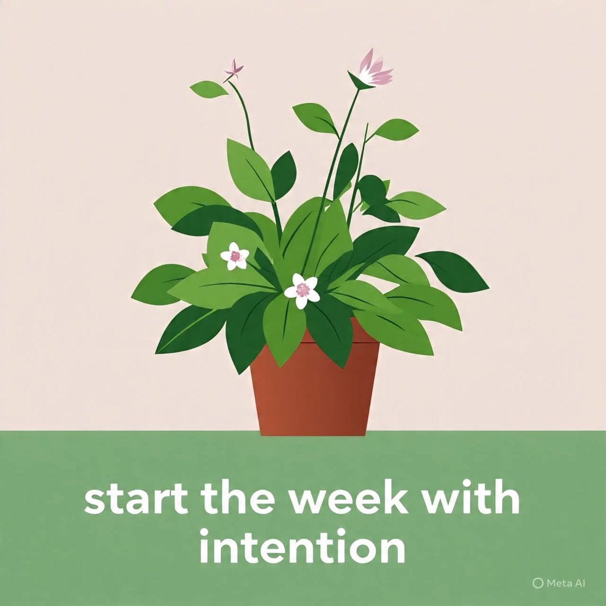 AdcareMedical's tweet image. Start the week with intention: commit to one small change e.g., 10 extra minutes walking, swapping a snack for fruit.
Small steps become big health wins.
#MotivationMonday #HealthySteps #AdcareMedical