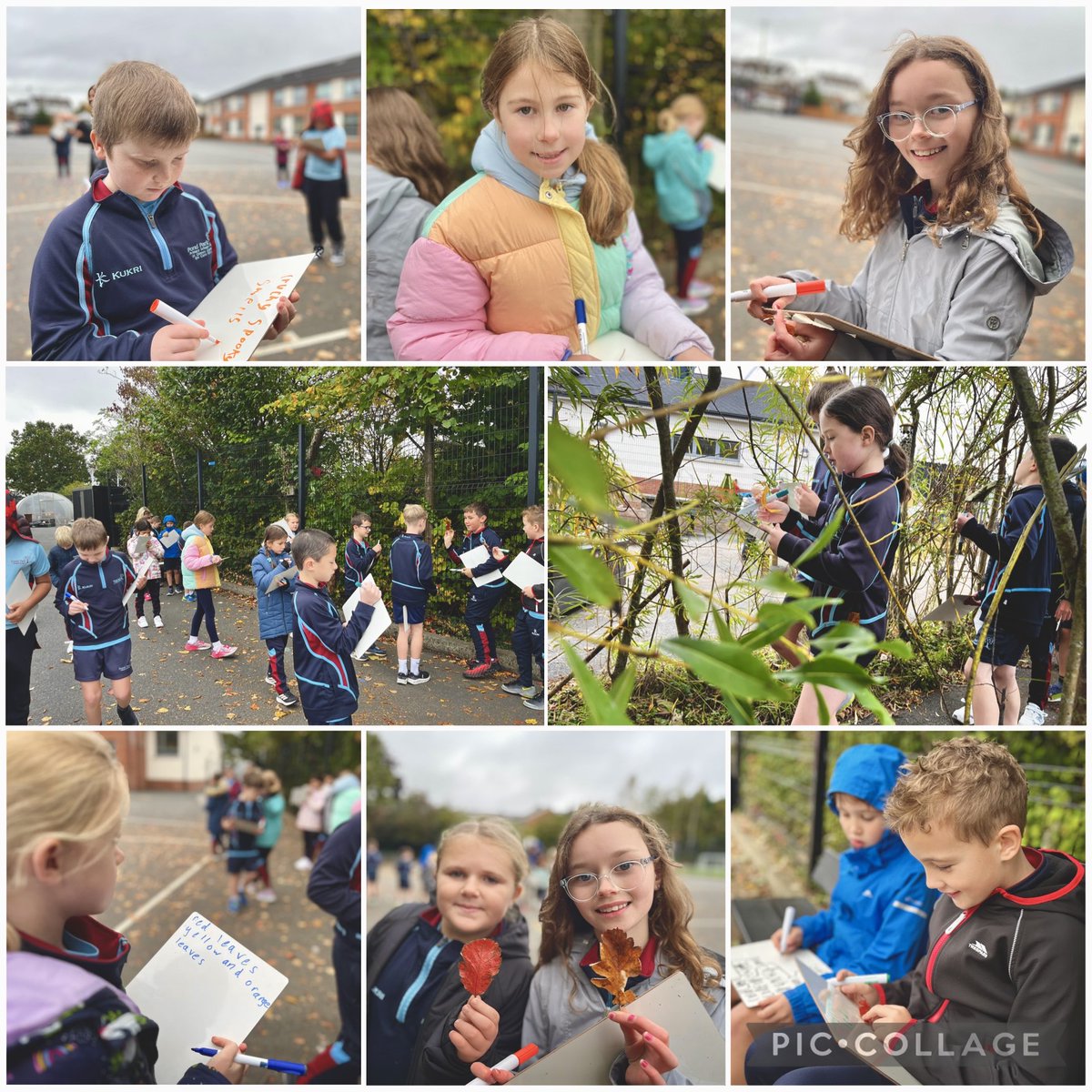 Pond Park P5 tweet media
