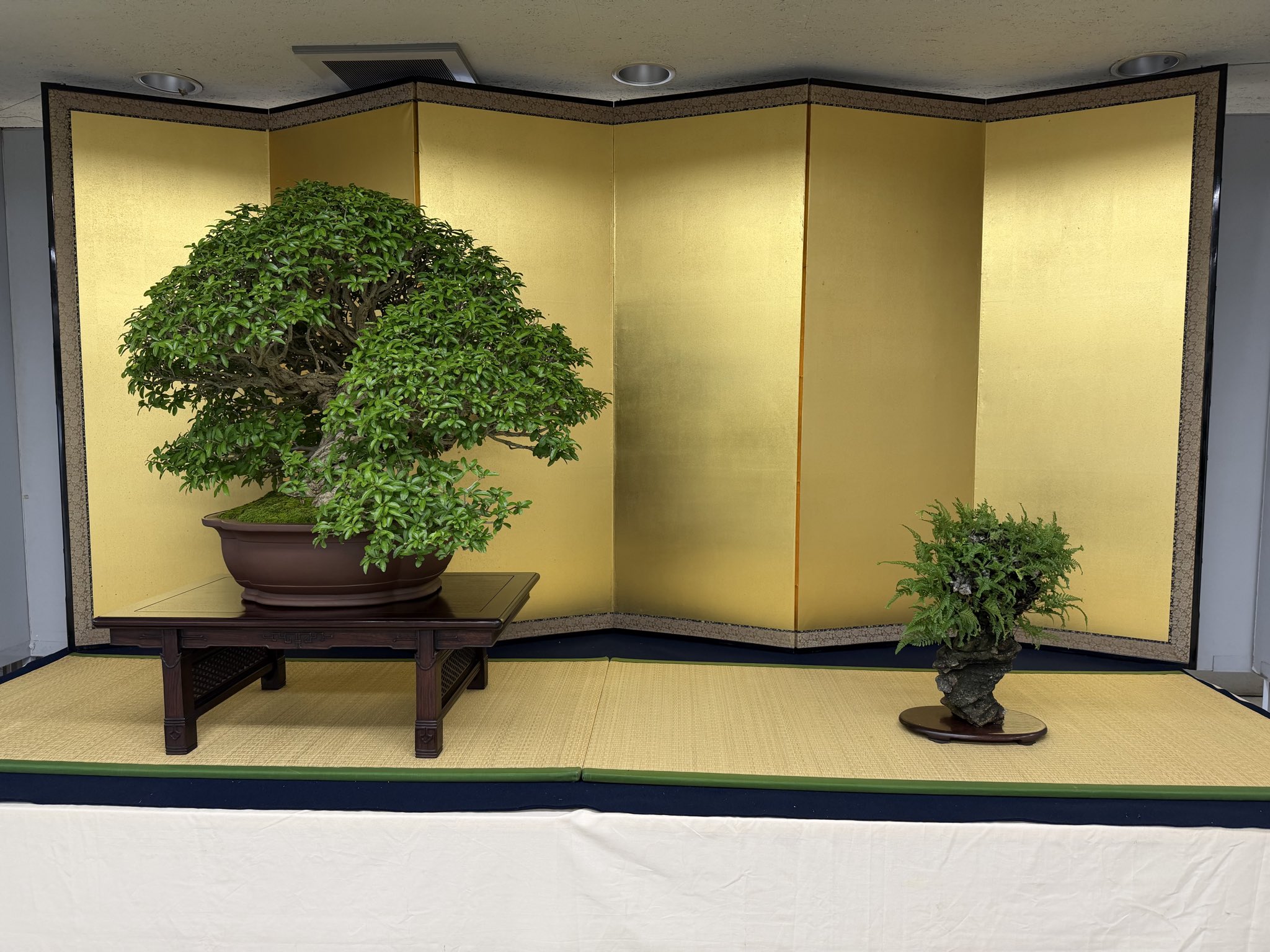 雷（らい）/Rai on X: 