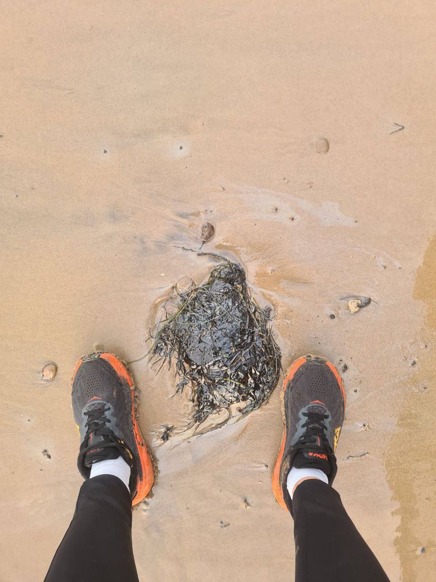 #Разоблачено (Disclosed) tweet media