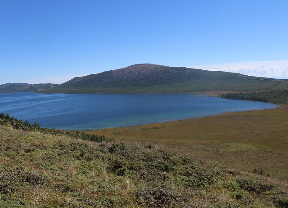 BioDataJournal's tweet image. A dataset with information on zooplankton and microzoobenthos from permanent and temporary waterbodies in the Republic of Tyva, Russian Federation: doi.org/10.3897/BDJ.13…
#zooplankton #biodiversity