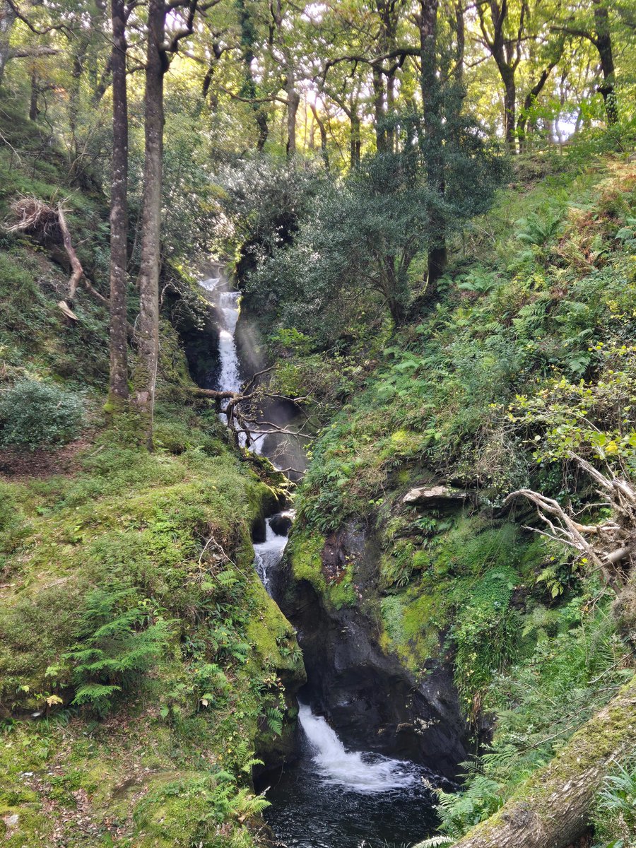 won teaghlach :))

ireland is beautiful, I had such an amazing time meeting everyone and seeing the valley ☘️
