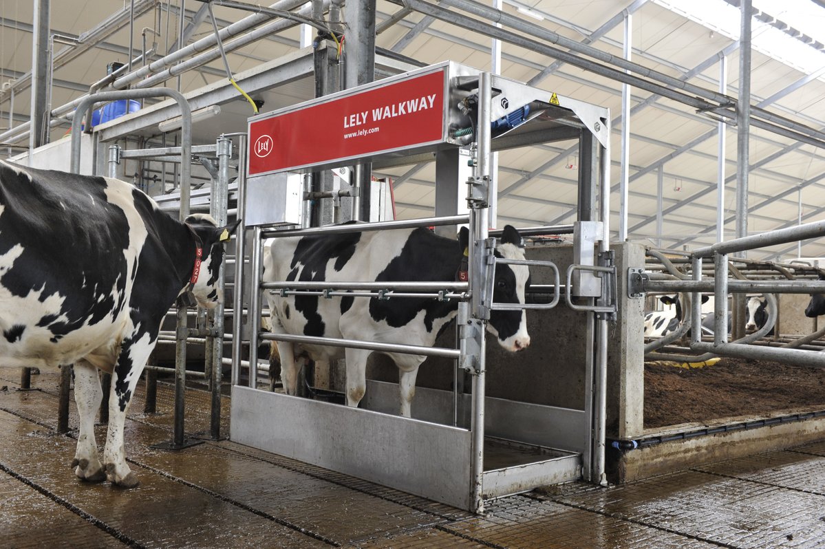 Healthy and stress-free cows are productive cows. Combined with automated grooming and real-time health data, Lely cows might just be the happiest on the farm! 

Discover more here: hubs.ly/Q03MC0d70