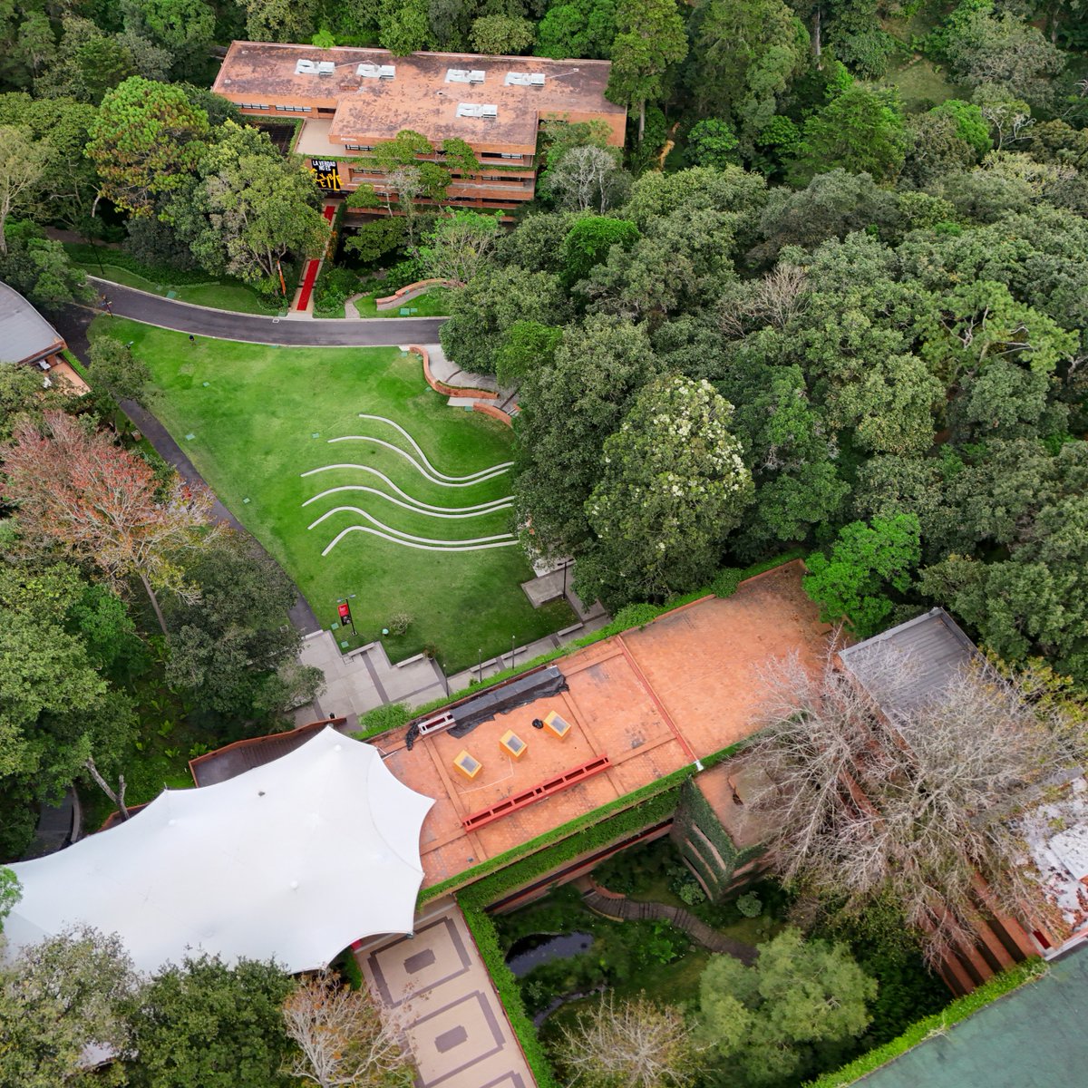 “The end of rebellion is liberation, while the end of revolution is the foundation of freedom.”

Hannah Arendt
born October 14, 1906

On Revolution

ufm.edu
Foto: Harry Díaz