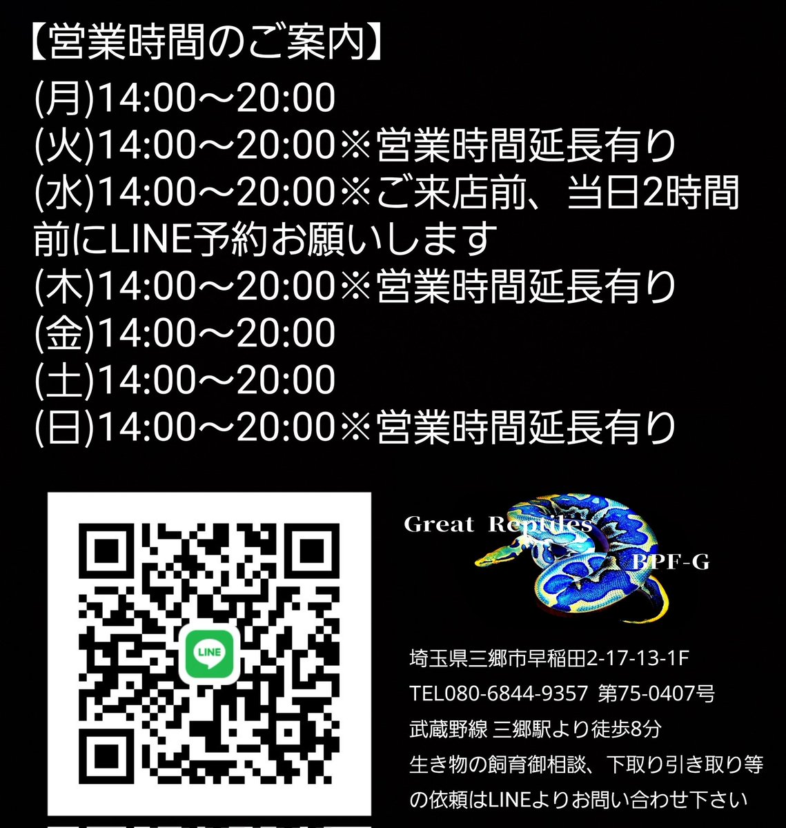 othimusyamusya's tweet image. 本日もご来店ありがとうございました🙇♂️
明日もボールパイソン ベビーからフルアダルト迄多数ご紹介していきます🐍
それではメンテタイム突入👍
明日もご来店お待ち致しております🤝
#GreatReptilesBPFG