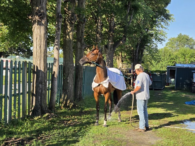 Brian Zipse tweet media