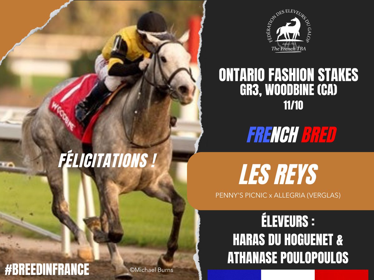 🇨🇦 Sur l'hippodrome de <a href="/WoodbineTB/">Woodbine Racetrack</a> au Canada, l'élève du  <a href="/harasduhoguenet/">Haras du Hoguenet</a>  &amp; Athanase Poulopoulos, LES REYS (fille de #PennysPicnic) s'est adjugée les Ontario Fashion Stakes, Gr.3 (11/10) !
Félicitations à tout son entourage !🙌
#vivelelevagefrancais #BreedInFrance #RaceAndCare