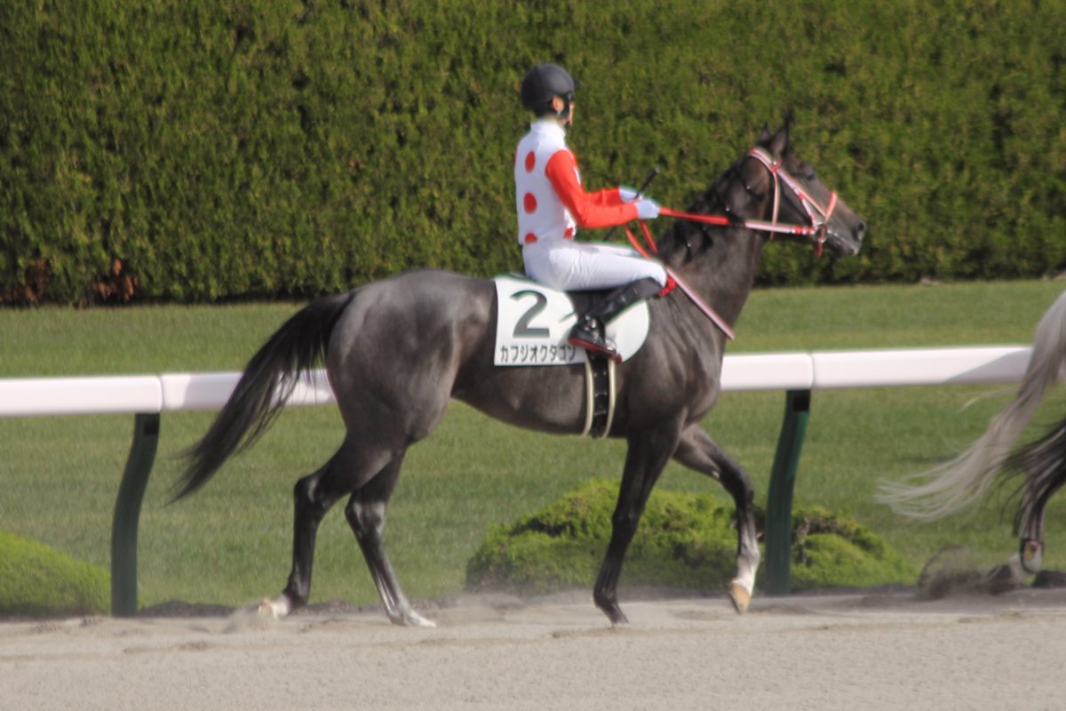 E3%82%BF%E3%82%A4%E3%82%BB%E3%82%A4%E3%83%89%E3%83%AC%E3%83%95%E3