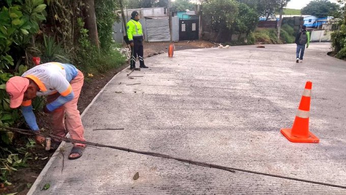 Three workers in orange shirts and pants with safety vests perform maintenance along a paved roadside bordered by dense green vegetation and trees, using tools to clear branches and debris near a chain-link fence and metal gate, with orange traffic cones placed nearby to mark the area, and a white vehicle visible in the background under overcast skies.